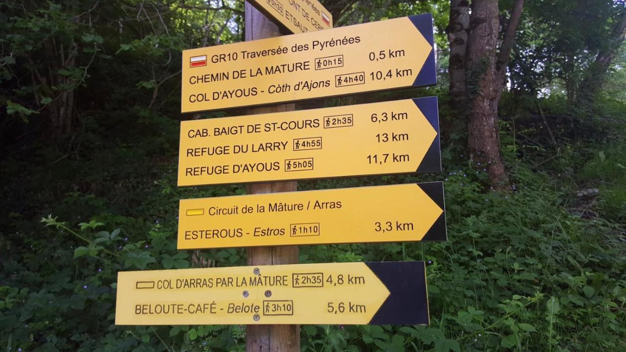 Le Gite Des Mousquetaires Lanne-en-Baretous Экстерьер фото