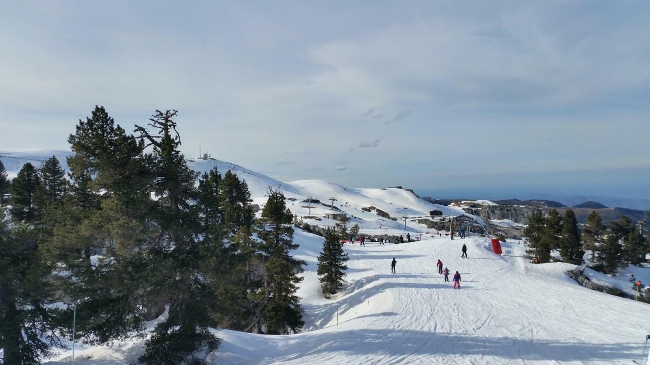 Le Gite Des Mousquetaires Lanne-en-Baretous Экстерьер фото